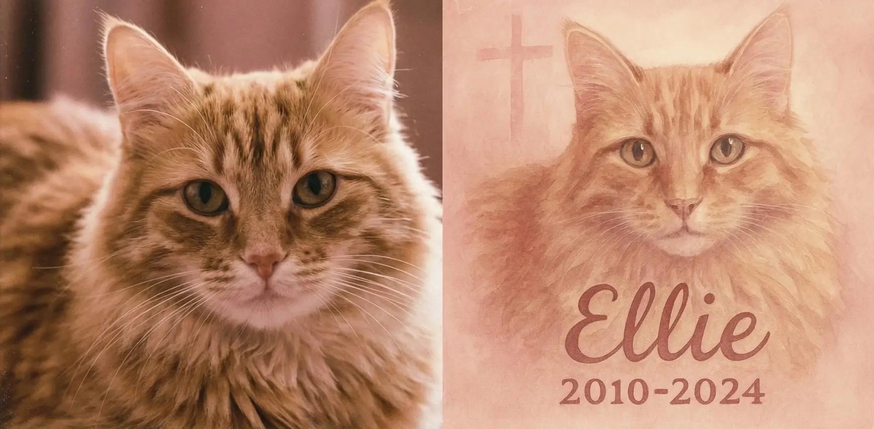Beautiful memorial tribute for beloved cat Ellie